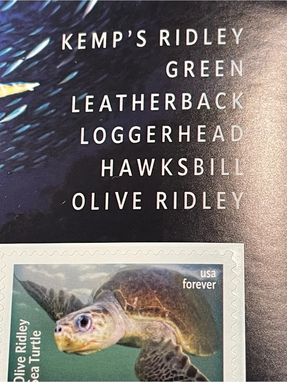 One (1) PROTECT SEA TURTLES Forever Stamp Sheet - 18 total Stamps, MNH